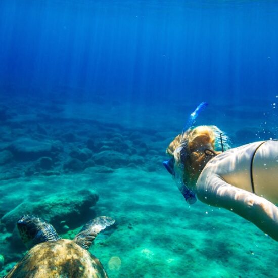 Swimming with a turtle